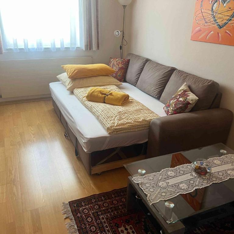 ALTSTADT-APARTMENTS Bad Radkersburg - Ihr Zuhause auf Reisen - Sonniges 55 m² Apartment „Traminer“ im EG mit Gartenblick - 15
