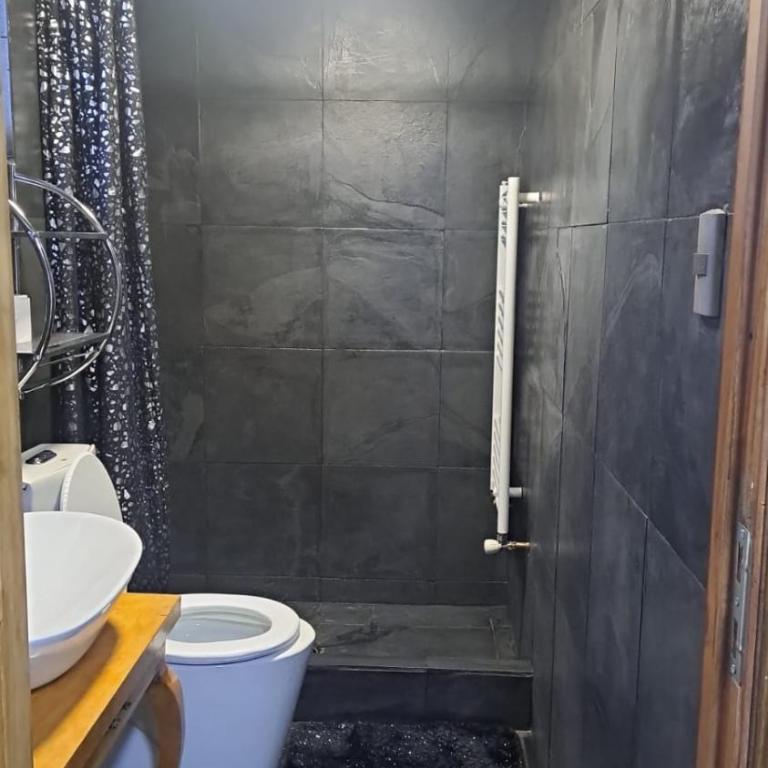 Central Zenteno en Punta Arenas - One-Bedroom Apartment - 8