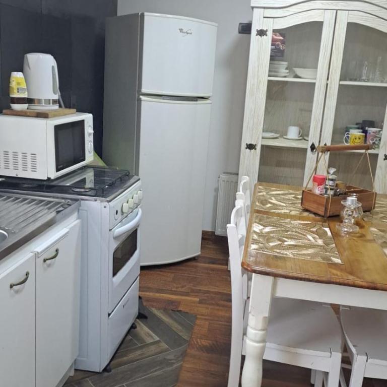 Central Zenteno en Punta Arenas - One-Bedroom Apartment - 10