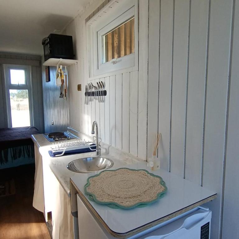 Treile home - One-Bedroom Apartment - 3