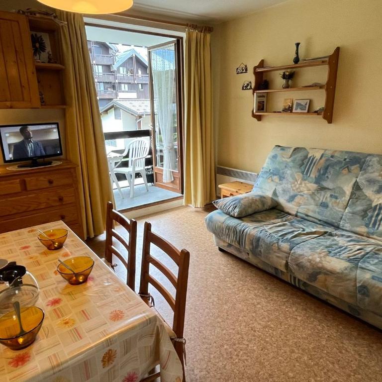 Studio confortable à Samoëns avec parking et animaux acceptés - FR-1-629-118 - Monolocale - 14