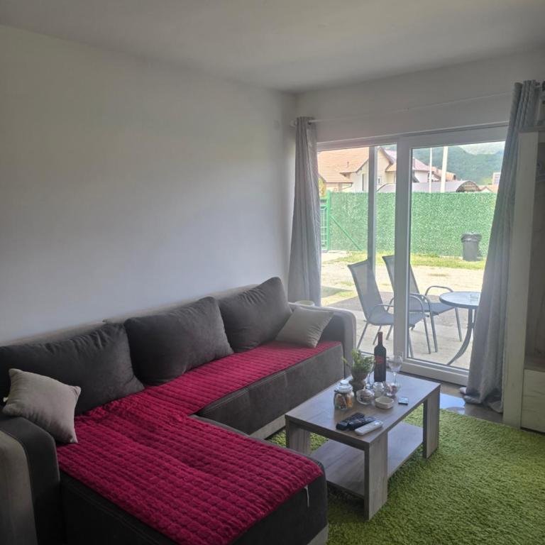 Apartmani Dimitrijevic - Apartman sa 1 Spavaćom Sobom - 6