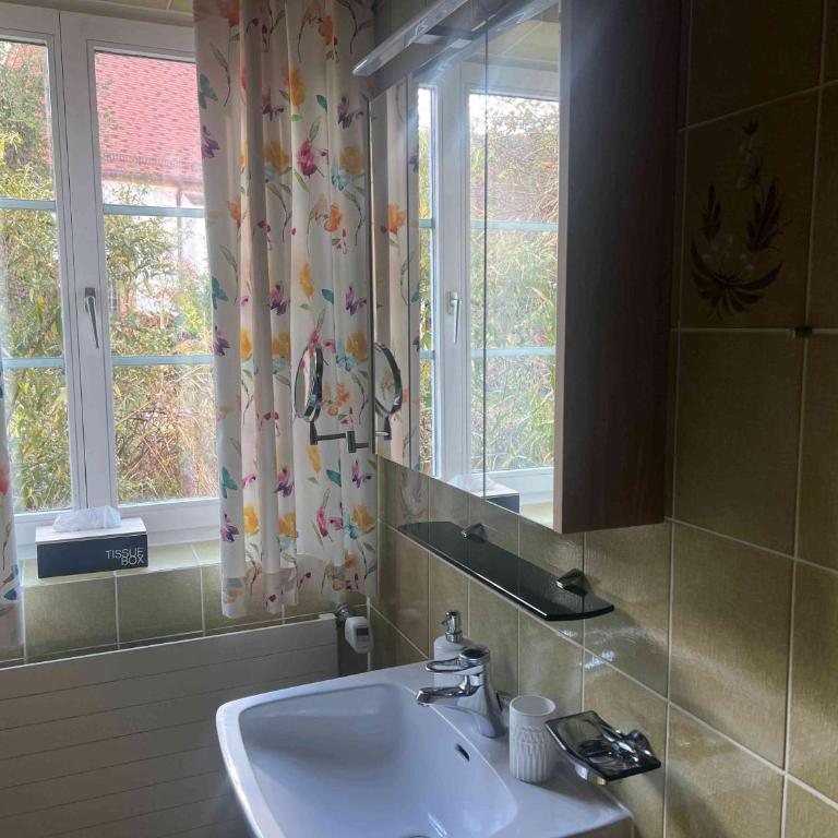 ALTSTADT-APARTMENTS Bad Radkersburg - Ihr Zuhause auf Reisen - Sonniges 55 m² Apartment „Traminer“ im EG mit Gartenblick - 28