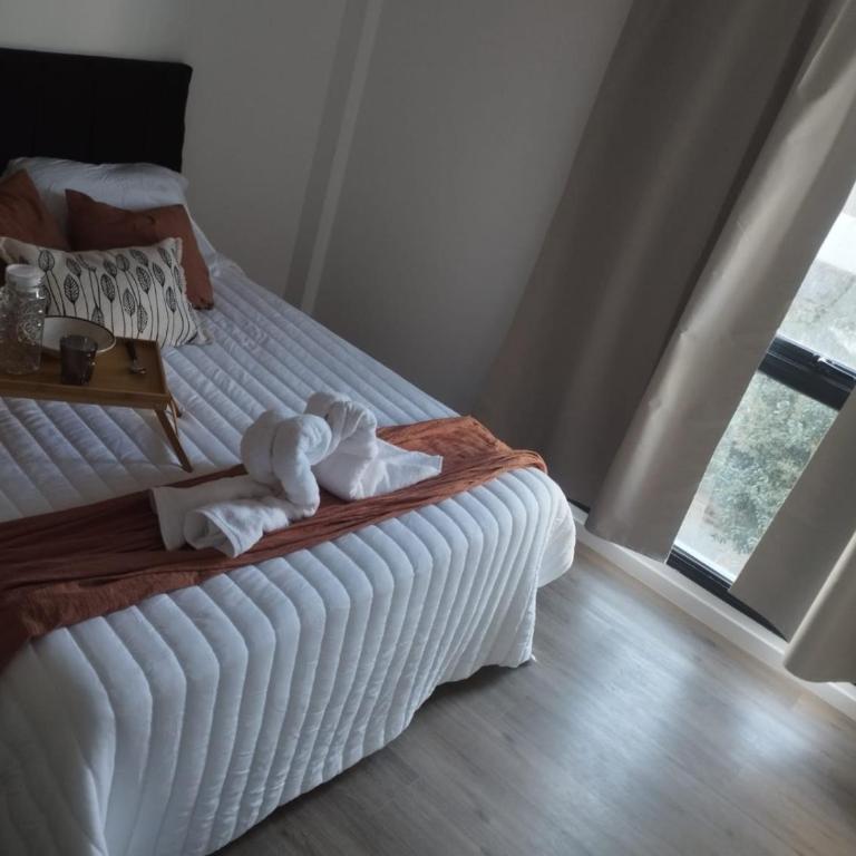 Gema alquiler temporario - Apartamento de 1 dormitorio - 2