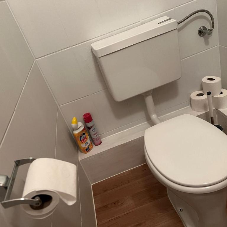 ALTSTADT-APARTMENTS Bad Radkersburg - Ihr Zuhause auf Reisen - Lässige 73 m² Dachgeschoss-Wohnung „Sauvignon Blanc“ - Ausblick, OG 2 - 15