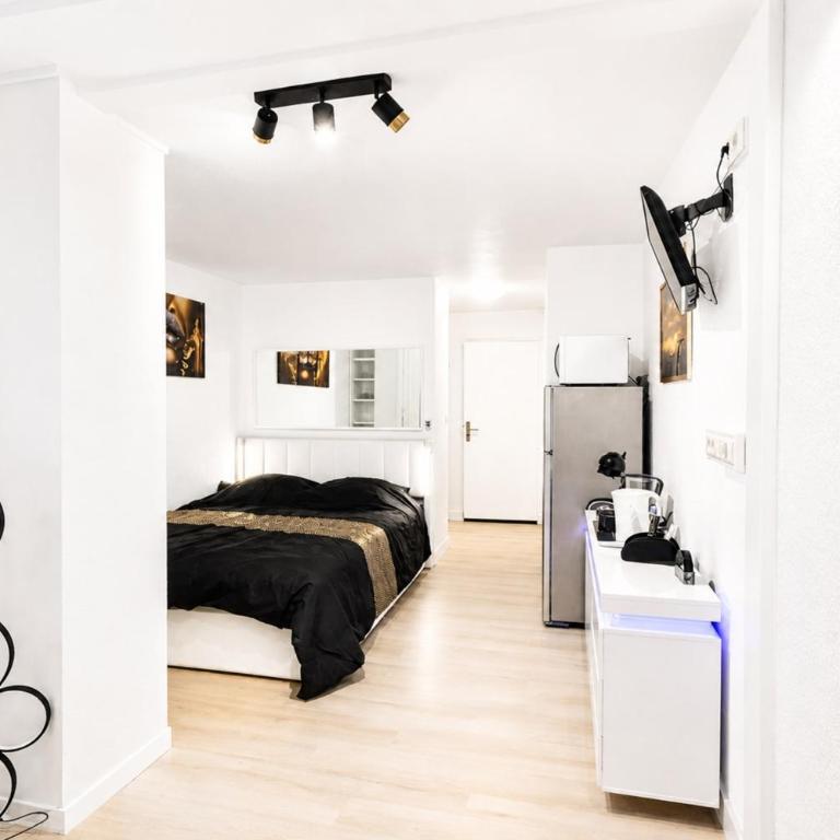 Naturiste Cap d'Agde Port Vénus 410 - Studio - 9