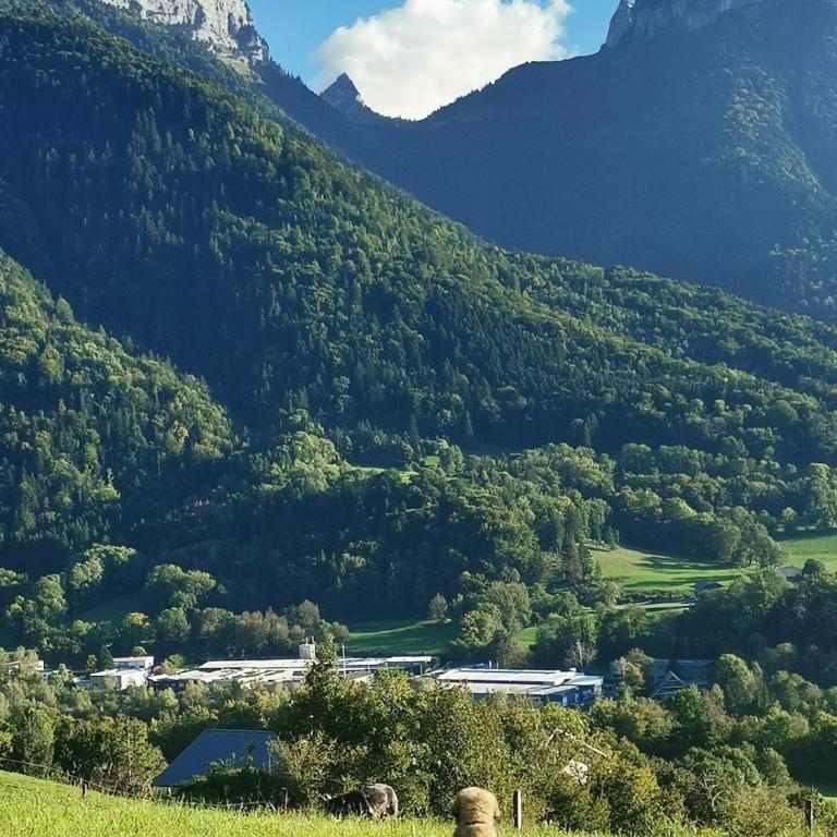 Cocon paisible de 37 m2 entre lac et montagnes - Appartement 1 Chambre avec Vue - 50
