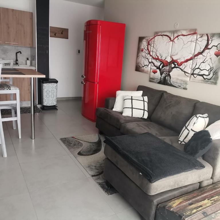 Cocon paisible de 37 m2 entre lac et montagnes - Appartement 1 Chambre avec Vue - 12