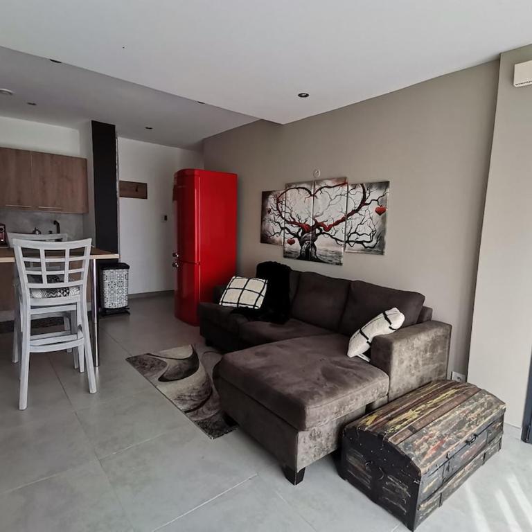 Cocon paisible de 37 m2 entre lac et montagnes - Appartement 1 Chambre avec Vue - 14