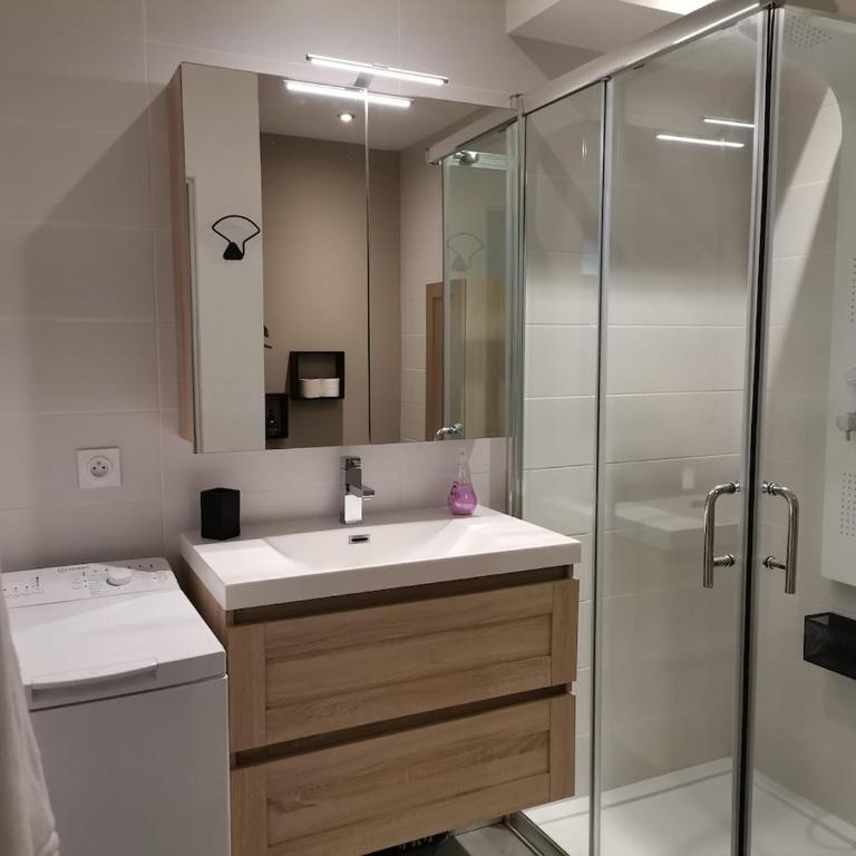 Cocon paisible de 37 m2 entre lac et montagnes - Appartement 1 Chambre avec Vue - 26