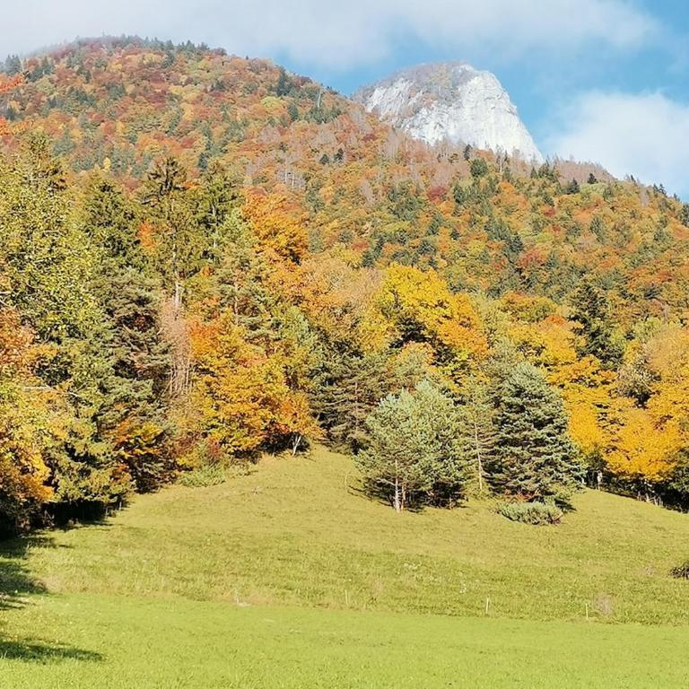 Cocon paisible de 37 m2 entre lac et montagnes - Appartement 1 Chambre avec Vue - 56
