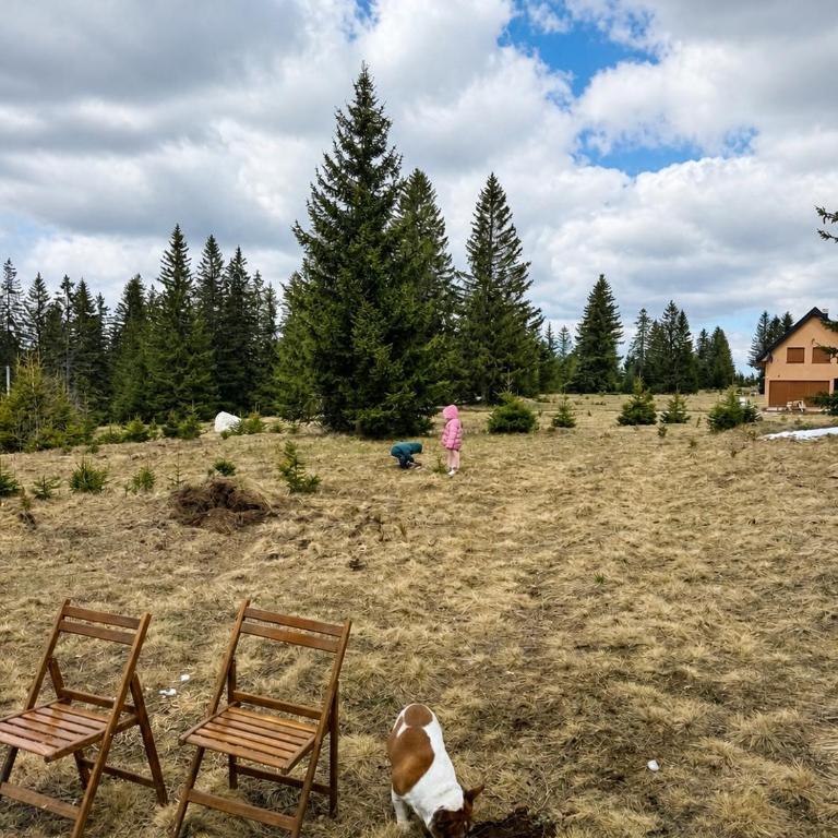 Chalet Aleksa - Koliba sa 2 Spavaće Sobe - 6