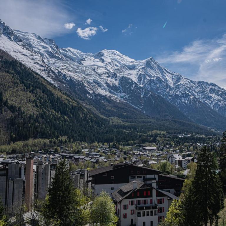 Majestic Panorama - Cozy Fireside Living Overlooking Mont-Blanc - Apartamento - 16