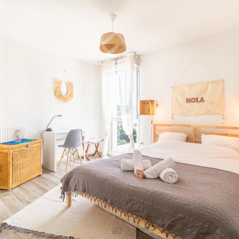 T2 lumineux avec balcon à Toulouse - Appartement - 6