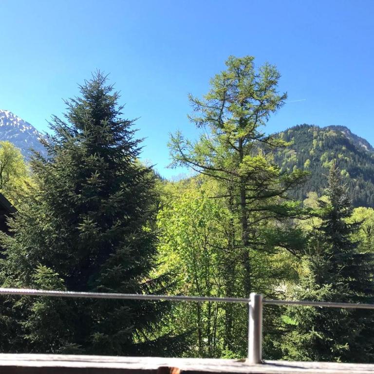 Ferienwohnung Rohrmoser - Apartment mit Aussicht und Balkon - 37
