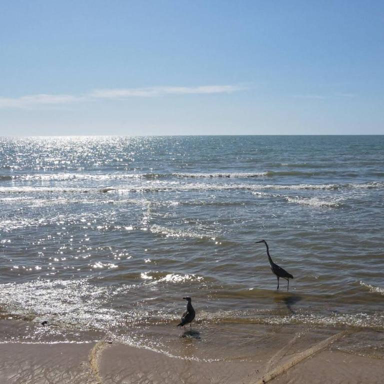 Condo 3, Easy Walk to San Felipe Malecon - Casa - 2