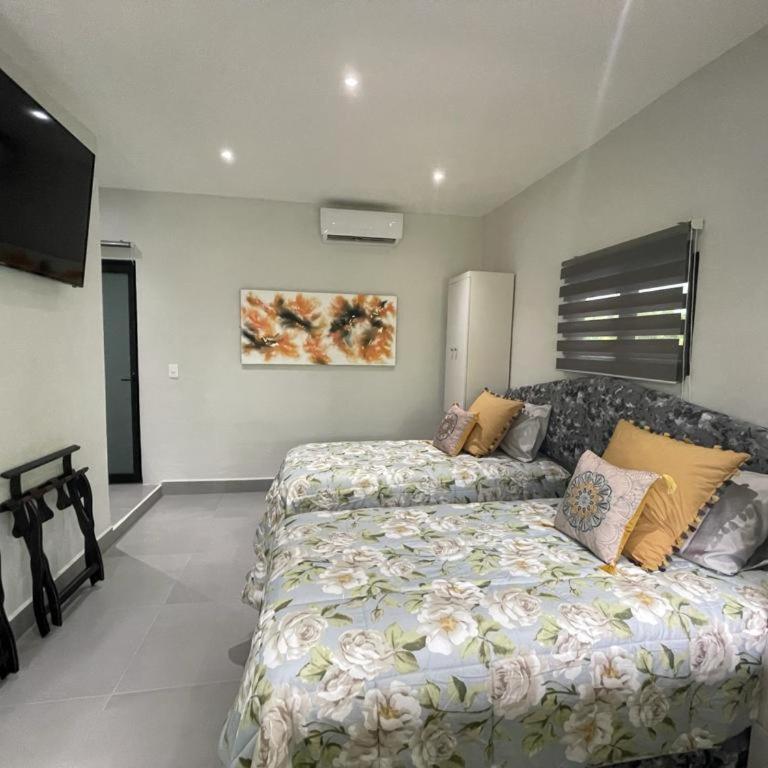 The Blue Eco Lodge - Habitación Doble con baño privado - 1 o 2 camas - 1