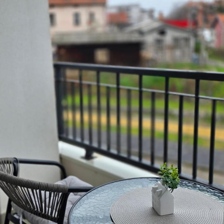 Vision apartmani Vrnjačka Banja - Apartment mit Terrasse - 12