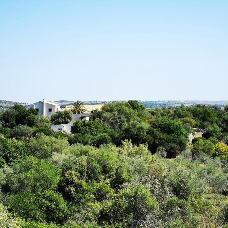 Luxury Villa with service near Noto and Syracuse - Villa - 57