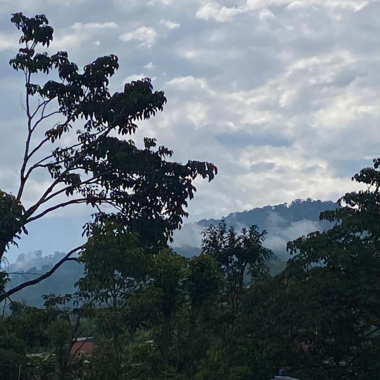 Angel house Colombia in the heart of the Coffee Region - Apartamento de 3 dormitorios - 7