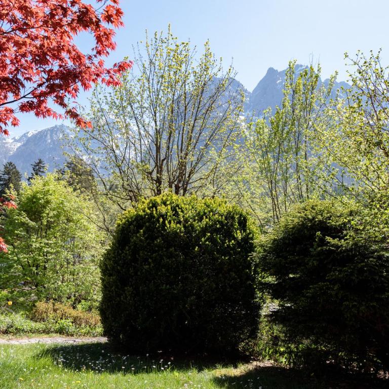 Bergwiese - Apartment mit Blick auf die Berge - 29