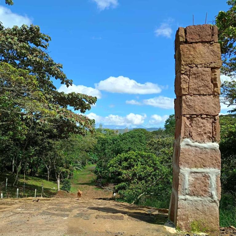 Cabaña La Casa Bonita - Villa de 2 dormitorios - 19