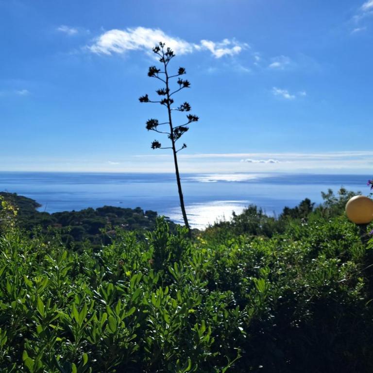 Arlecchino - Monolocale con Vista Mare - 14