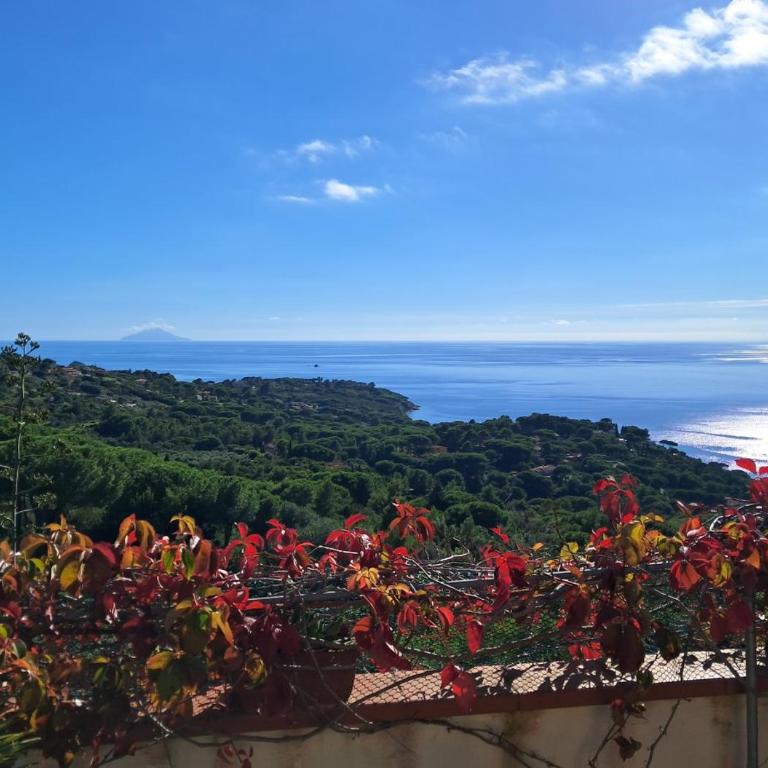 Arlecchino - Monolocale con Vista Mare - 16