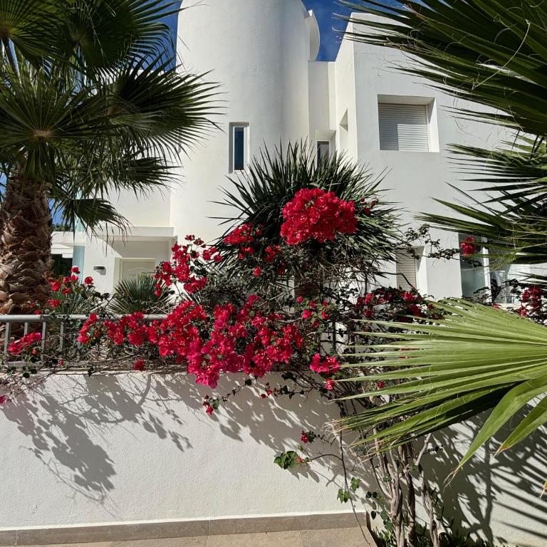 Modern Villa Cala Vadella - Sea Views, Sunset, 9 Min Walk to Beach - Quiet Area, No Parties - Villa - 21