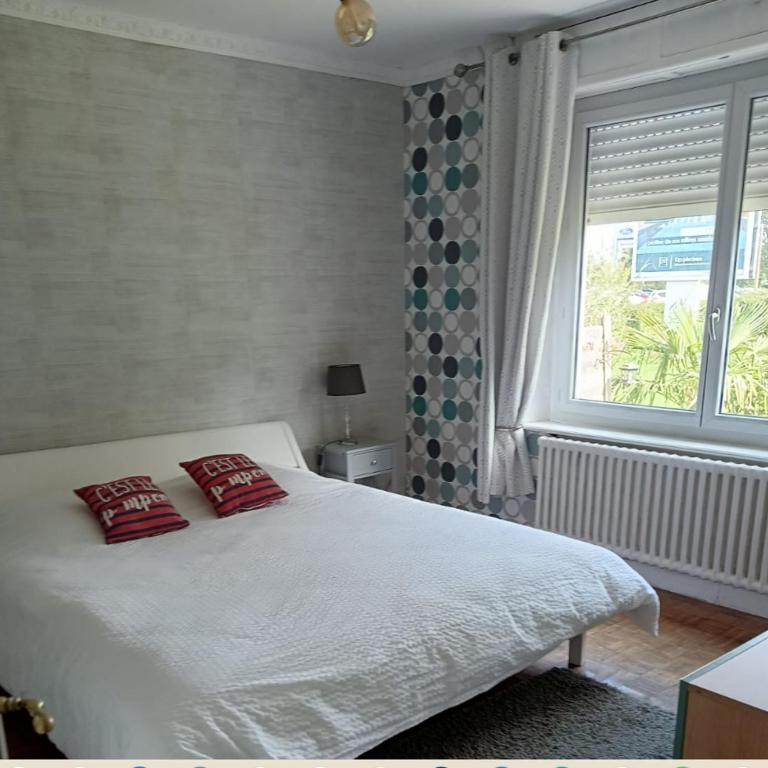 apartement avec parking prive - Appartement 2 Pièces - 13