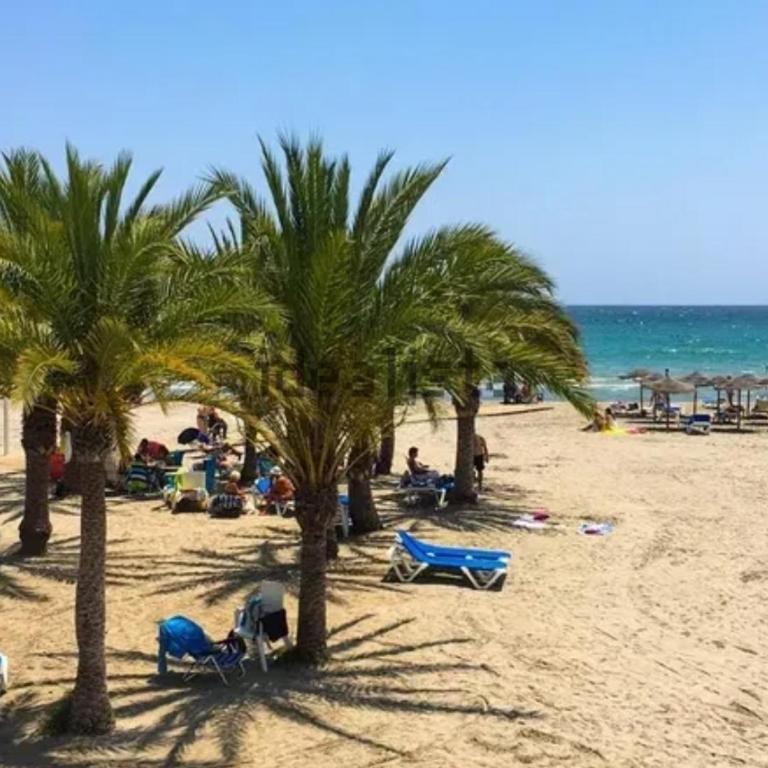 Apartament typu studio Santa Pola - Apartamento de 1 dormitorio - 18
