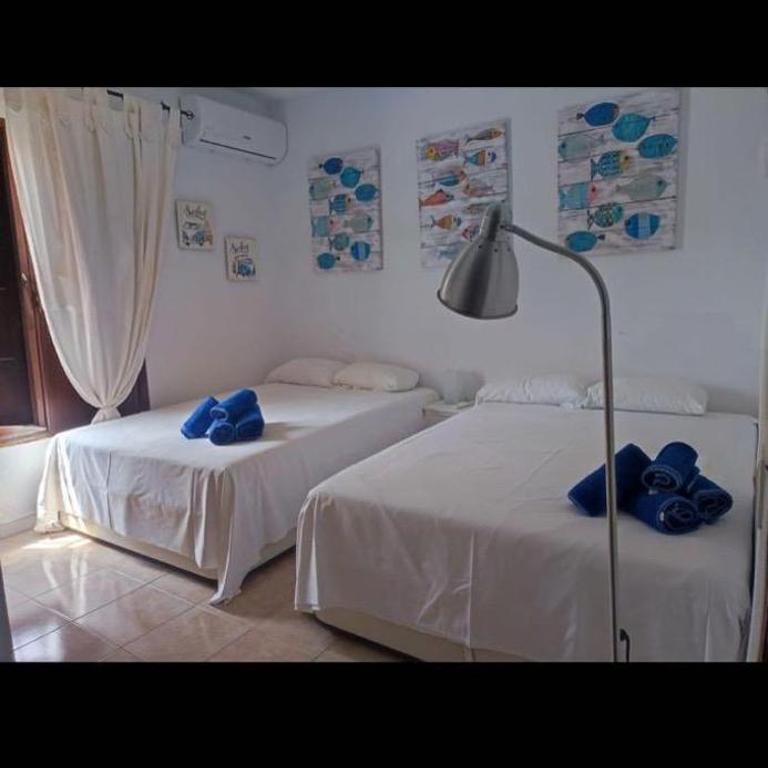 NUEVA NERJA 81 MENYBER Nerja, Andalucia, Spain - Casa de 2 dormitorios - 17