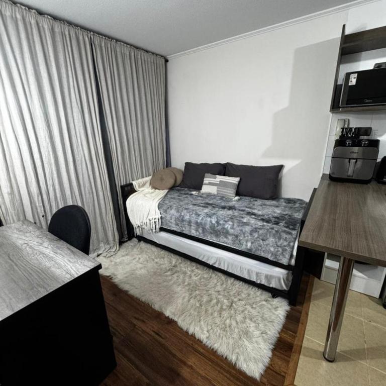 Berlin in Santiago, a great apartment - One-Bedroom Apartment - 11