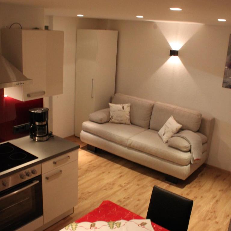 Panorama Appartements Mora - 3 Edelweiß Superior - One-Bedroom Apartment with Balcony and Panoramic View (2-4 People) - 46