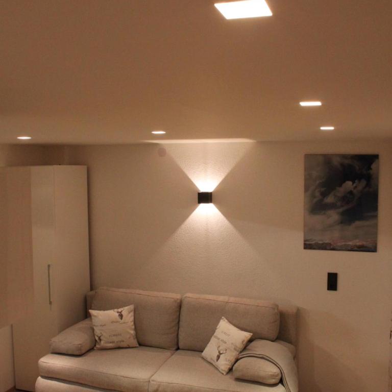 Panorama Appartements Mora - 3 Edelweiß Superior - One-Bedroom Apartment with Balcony and Panoramic View (2-4 People) - 48