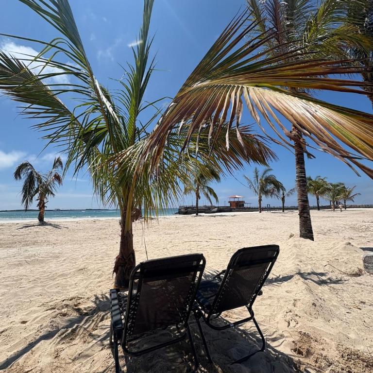 Oceanfront Apartment with Starlink internet - One-Bedroom Apartment - 7