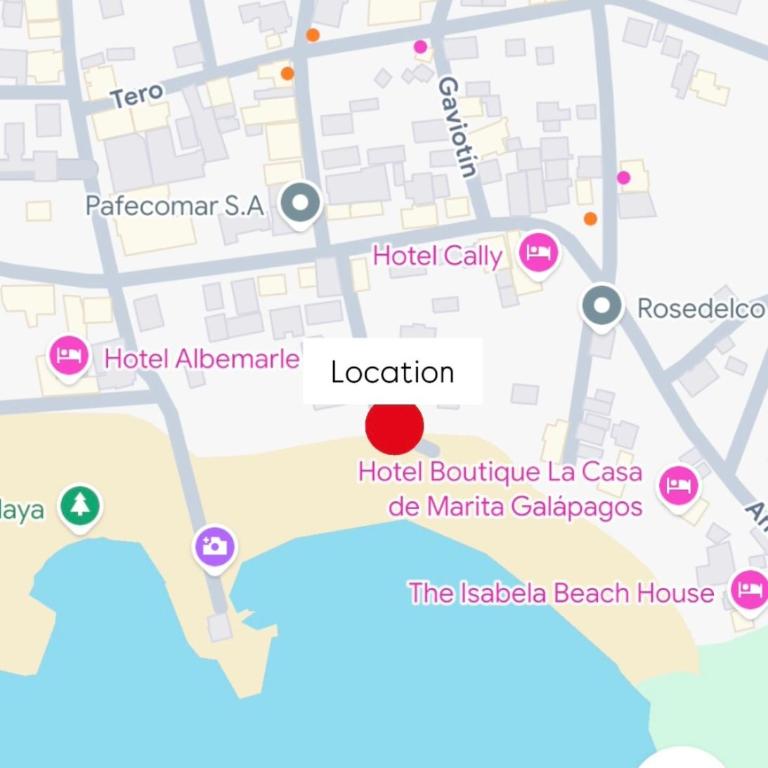Oceanfront Apartment with Starlink internet - One-Bedroom Apartment - 12