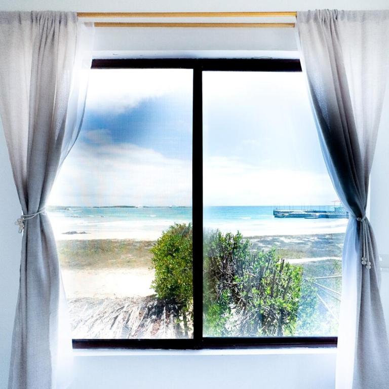 Oceanfront Apartment with Starlink internet - One-Bedroom Apartment - 15
