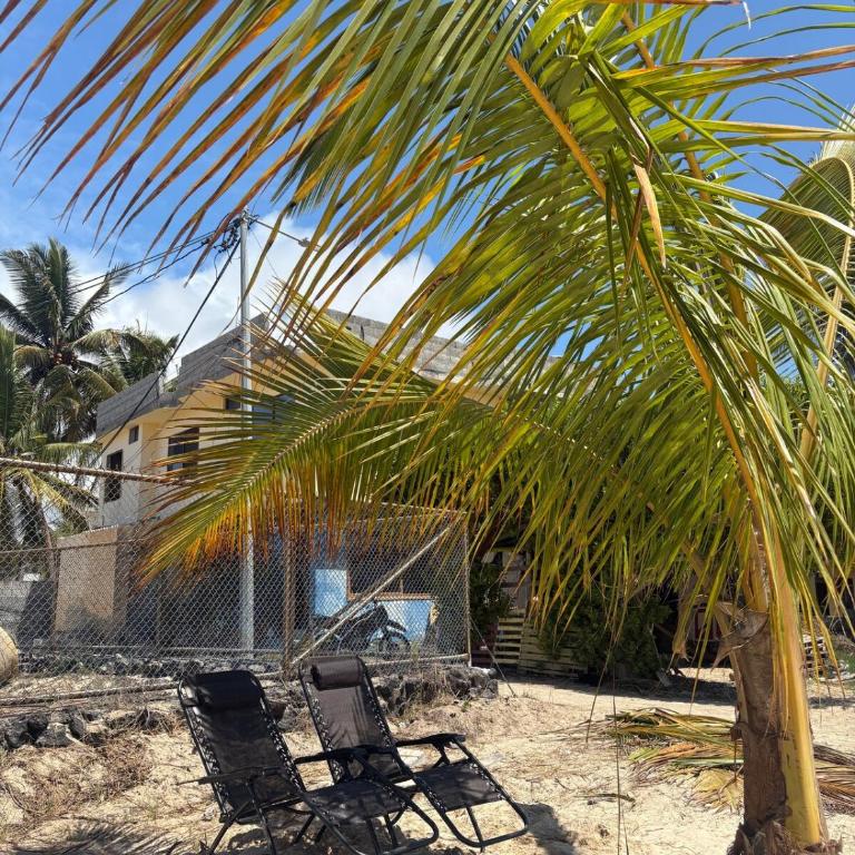 Oceanfront Apartment with Starlink internet - One-Bedroom Apartment - 16
