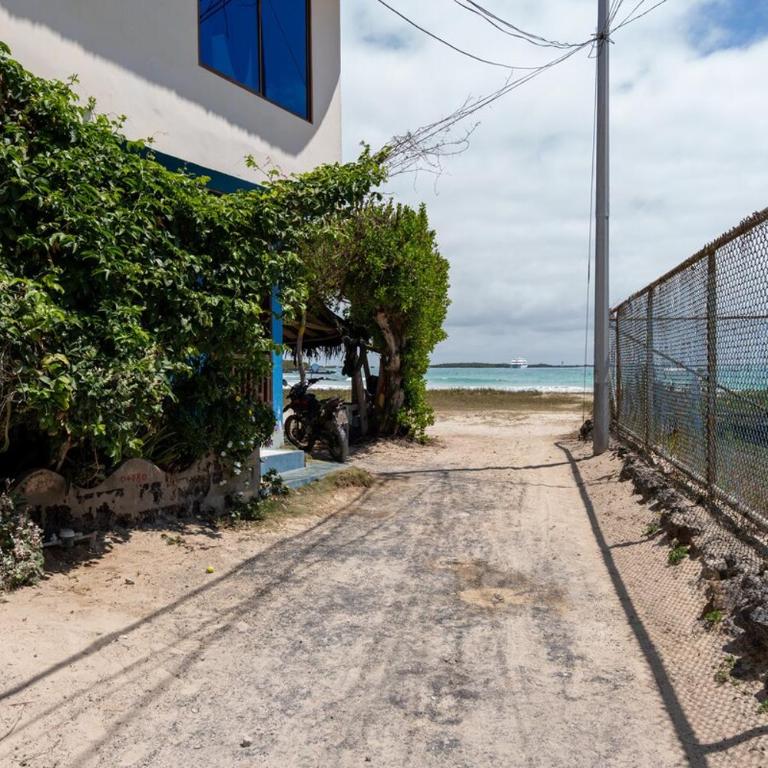 Oceanfront Apartment with Starlink internet - One-Bedroom Apartment - 17