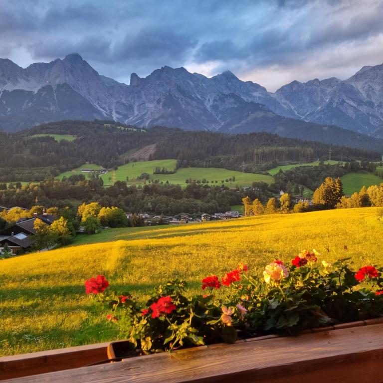 Ferienwohnung Imlauer - Apartment mit 3 Schlafzimmern und Aussicht - 19
