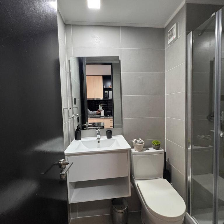 New York en Santiago un departamento para volver - One-Bedroom Apartment - 11
