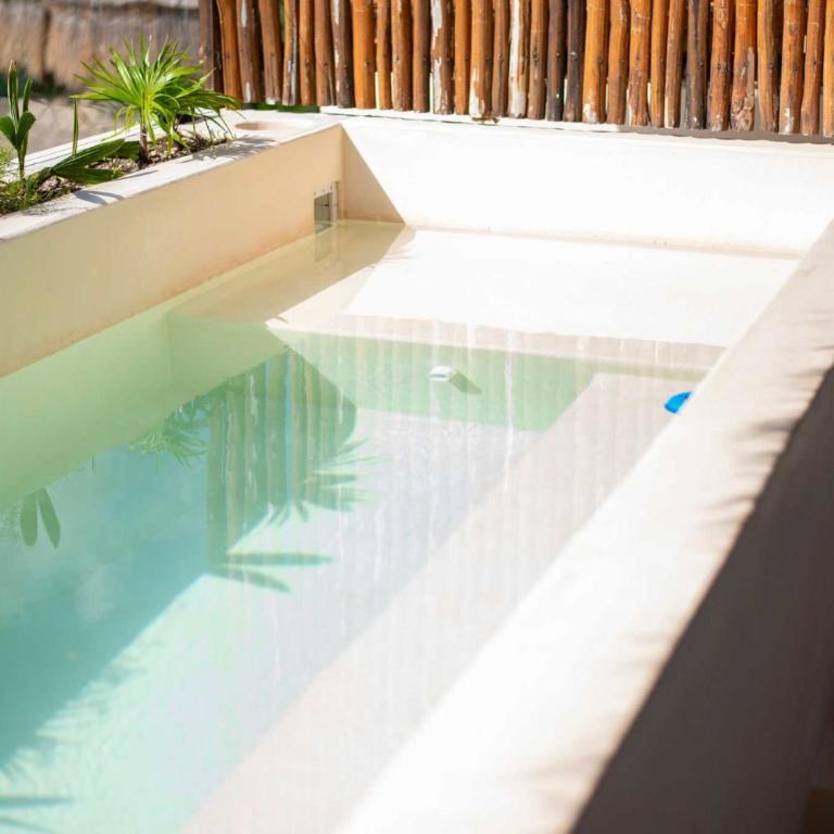 Penthouse with Private Plunge Pool - 2 King Suites - Apartamento - 28