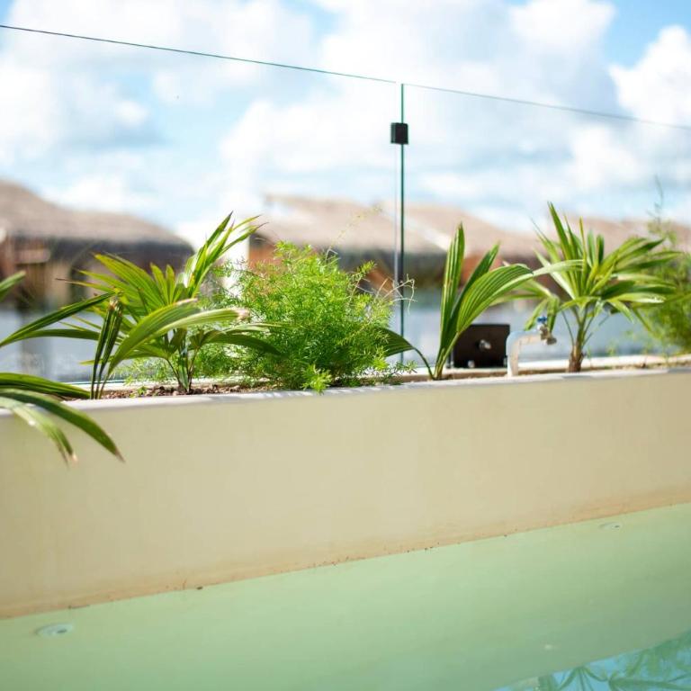 Penthouse with Private Plunge Pool - 2 King Suites - Apartamento - 30