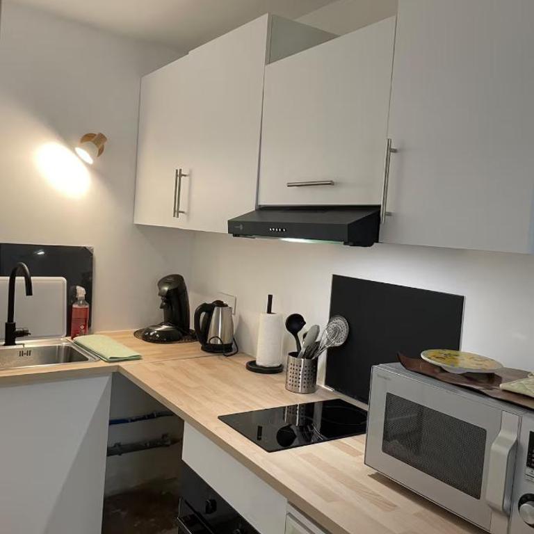 Le petit Loire à vélo - Apartamento de 1 dormitorio - 1