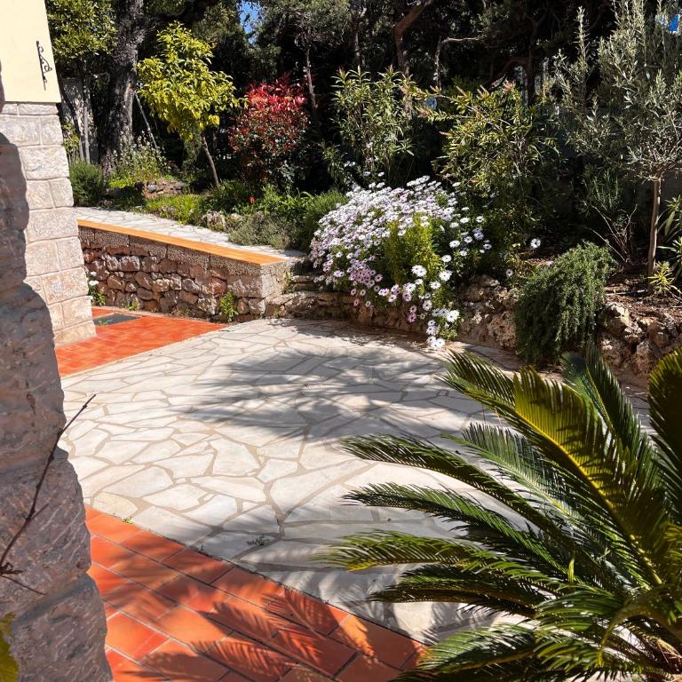 VILLA ARVOR CANNES Appartement indépendant en bas de maison - Appartement - Vue sur Jardin - 3