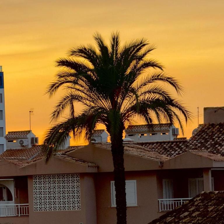 Oleander Apartment La Manga - Apartamento de 1 dormitorio - 30
