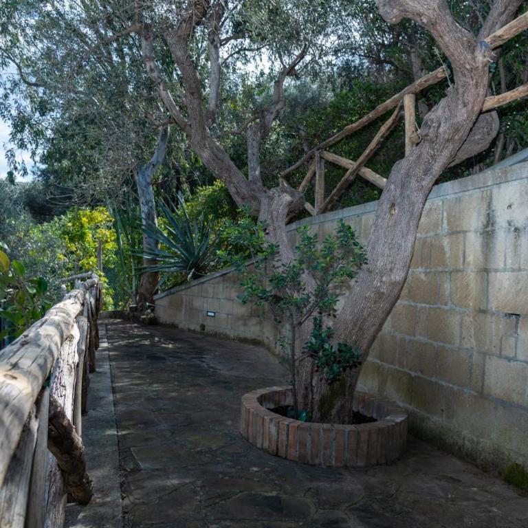 Villa in Massa Lubrense x 8 sea view with pool - Villa con 3 Camere da Letto - 8