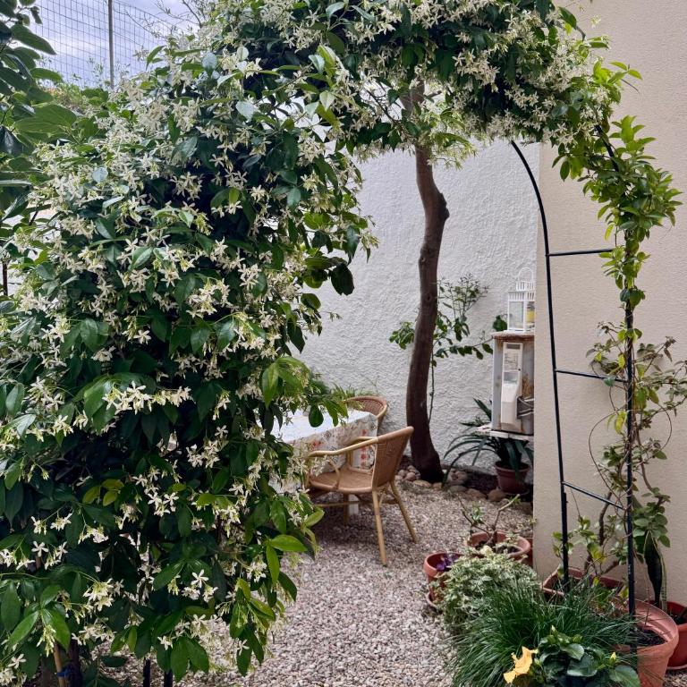 Flowered House with garden - Appartamento - Piano Terra - 17