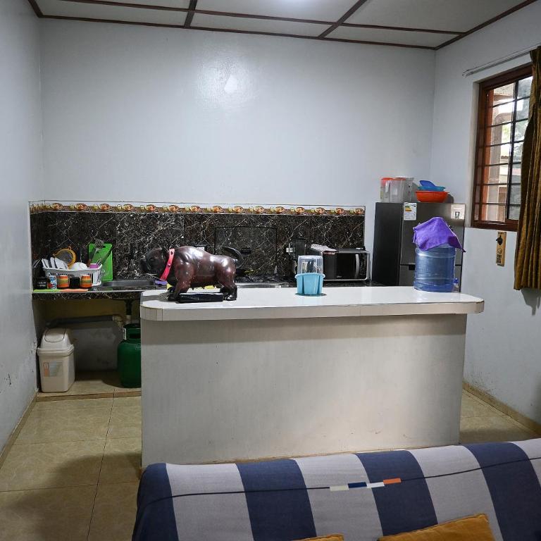 Depa en Pto Maldonado - Apartamento de 1 dormitorio - 2